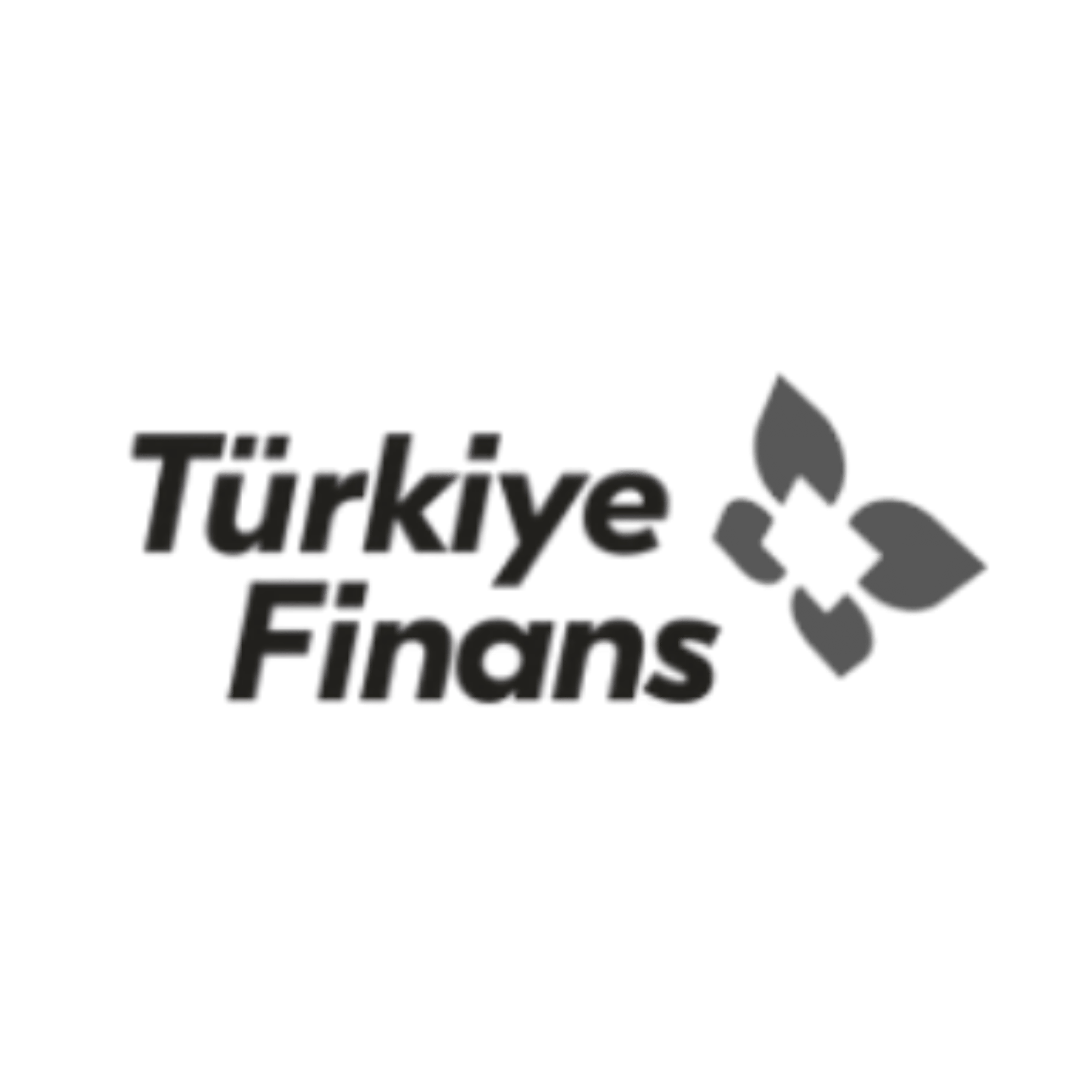 Türkiye Finans